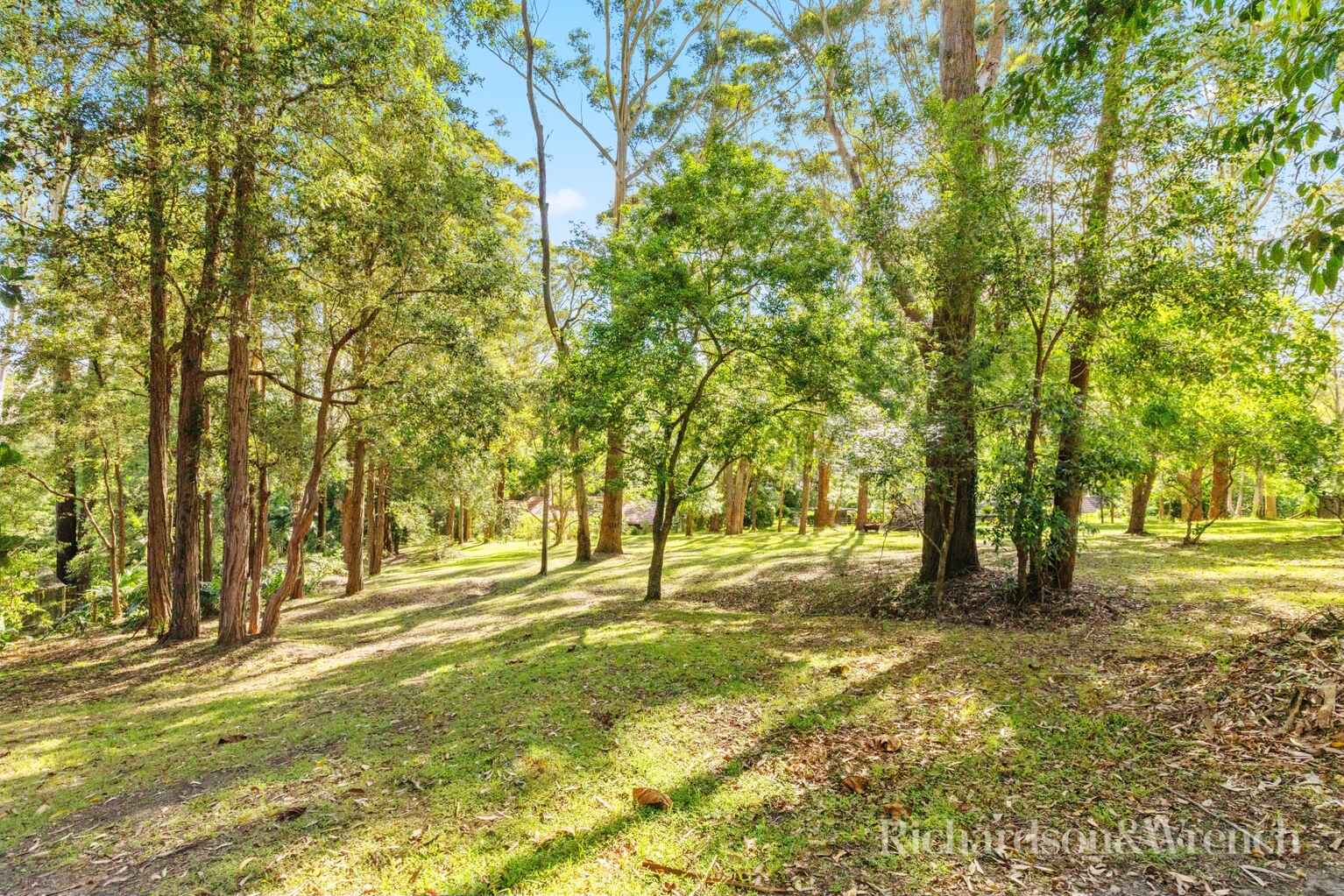 35 Meadow Road Springfield