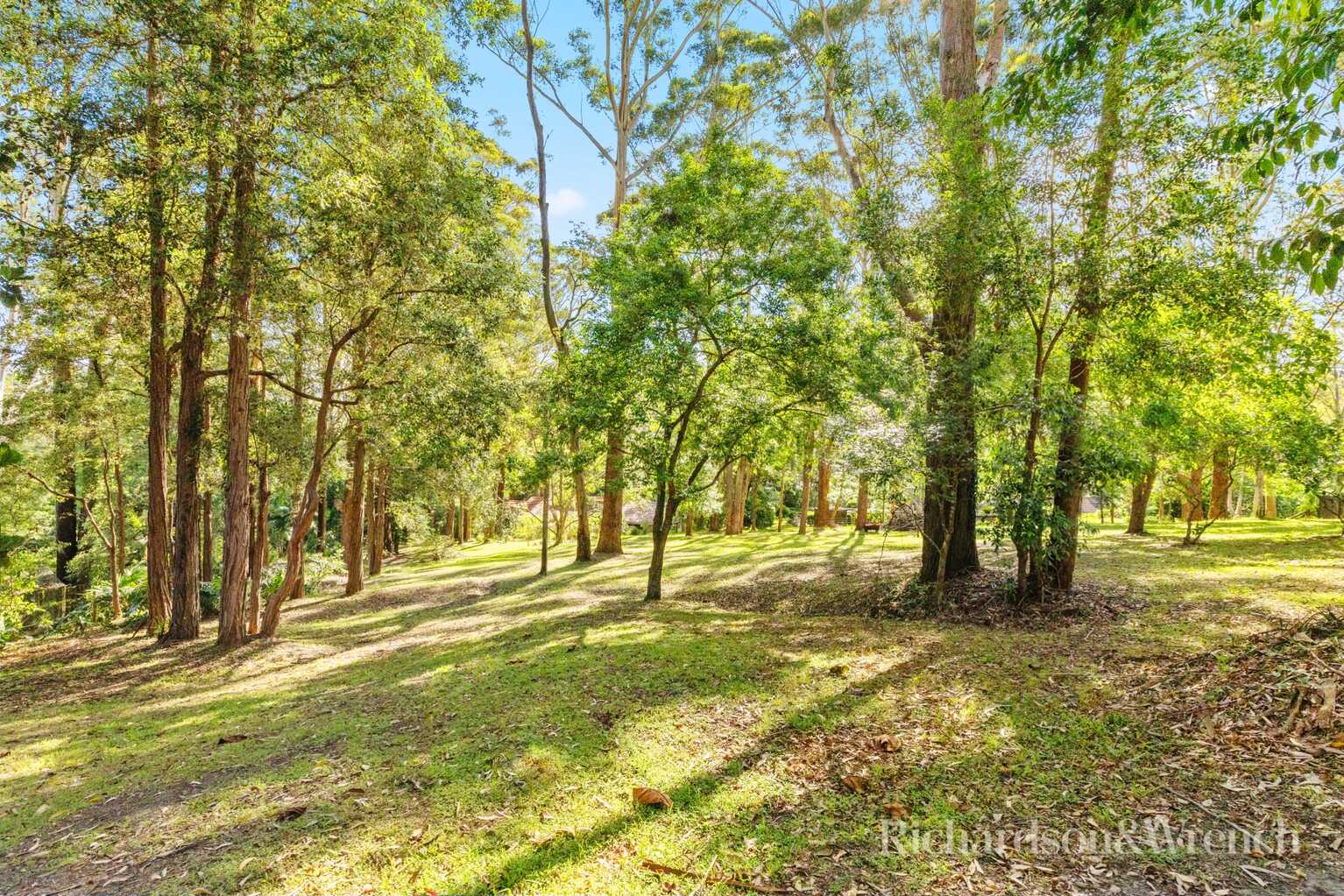 35 Meadow Road Springfield